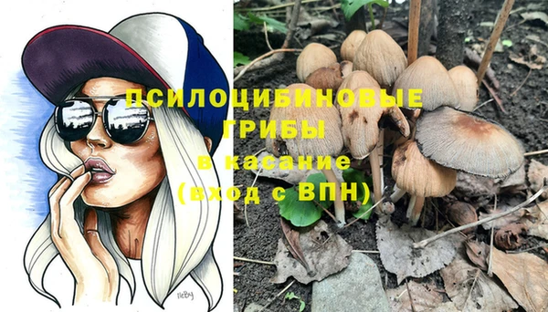 прущий лед Няндома