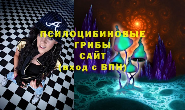 гидропоника Нягань