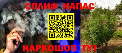 PSILOCYBIN Балаково